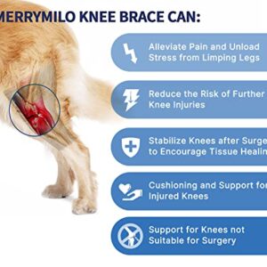 MerryMilo Adjustable Pet Knee Brace For Support With Cruciate Ligament Injury, Joint Pain And Muscle Sore, Better Recovery With Dog ACL Rear Leg Brace, (Size: M)