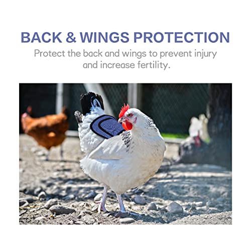 2 Pieces Premium Chicken Saddles Feather Wing Protector Adjustable Straps Suit Small, Medium and Large Hens Birds Protector for Back and Sides