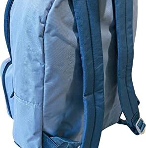 Frozen 15 Inch Kids Backpack With Removable Lunch Box (Blue)