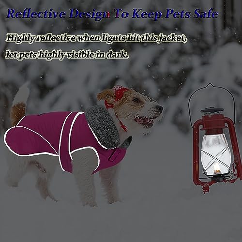 Dogcheer Dog Coat, Christmas Dog Winter Jacket Puppy Cold Weather Coats with Thick Padded, Reflective Dog Sweater Waterproof Windproof Pet Warm Vest Clothes for Small Medium Large Dogs