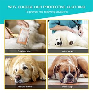 Dog Onesie Prevent Shedding Hair Surgery Recovery Suit Pets Bodysuit Sport Shirt,Dog Surgical Suit Zipper (S, Lake Grey)