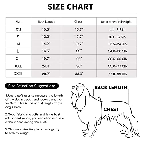 Dog Onesie Prevent Shedding Hair Surgery Recovery Suit Pets Bodysuit Sport Shirt,Dog Surgical Suit Zipper (S, Lake Grey)