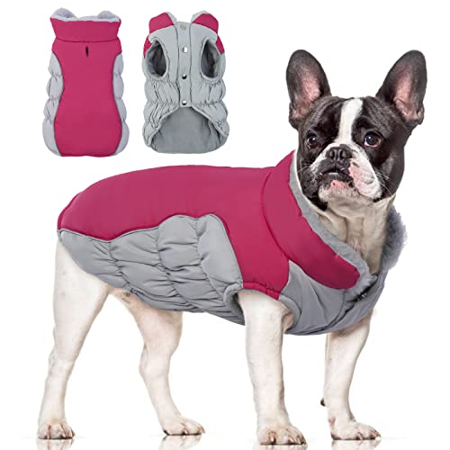 FUAMEY Winter Dog Coat,Warm Pet Windproof Jacket Cold Weather Clothes for Dogs Fleece Lined Dog Vest Reflective Apparel for Small Medium Dogs Cozy Puppy Indoor Outdoor Padded Outfits Green