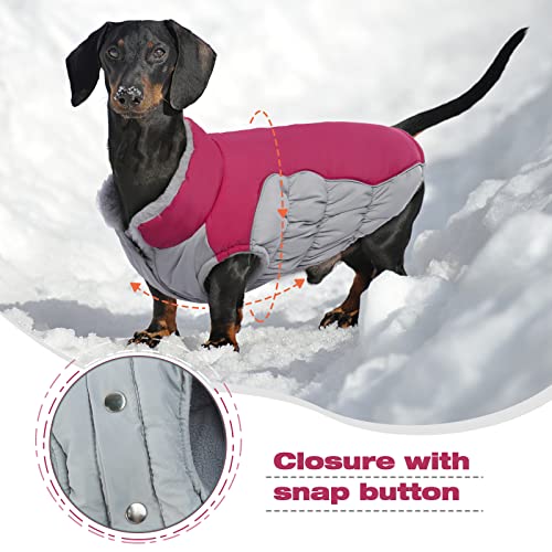 FUAMEY Winter Dog Coat,Warm Pet Windproof Jacket Cold Weather Clothes for Dogs Fleece Lined Dog Vest Reflective Apparel for Small Medium Dogs Cozy Puppy Indoor Outdoor Padded Outfits Green