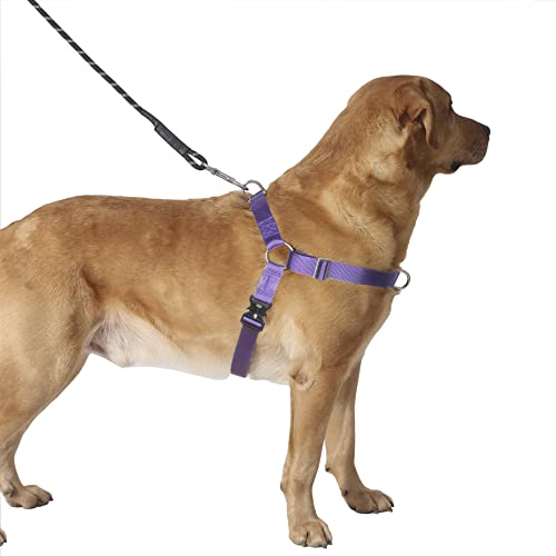 Hiado Dog Harness with Front Clip and Back Clip No Pull Adjustable for Small Medium Large Dogs Purple L
