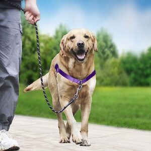 Hiado Dog Harness with Front Clip and Back Clip No Pull Adjustable for Small Medium Large Dogs Purple L