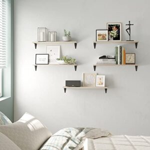 Wallniture Arras 24"x4.5" Floating Shelves Wall Mounted, Living Room Wall Bookshelf, Office Wall Decor & Floating Shelf for Kitchen, Wall Shelves for Bedroom Set of 5, Natural Wood Shelf