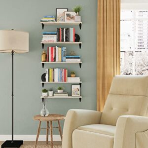 Wallniture Arras 24"x4.5" Floating Shelves Wall Mounted, Living Room Wall Bookshelf, Office Wall Decor & Floating Shelf for Kitchen, Wall Shelves for Bedroom Set of 5, Natural Wood Shelf