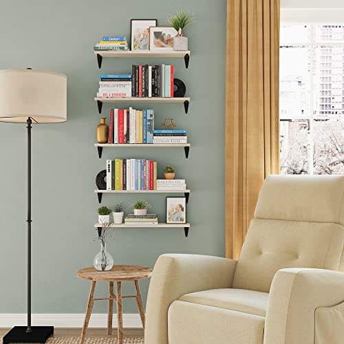 Wallniture Arras 24"x4.5" Floating Shelves Wall Mounted, Living Room Wall Bookshelf, Office Wall Decor & Floating Shelf for Kitchen, Wall Shelves for Bedroom Set of 5, Natural Wood Shelf