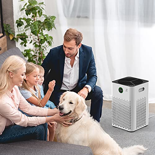 Air Purifiers For Home Large Room, 2000 ft², 3-Stage Filtration System, H13 True HEPA Filter Air Cleaner Remove 99.97% Dust Pollen Smoke Odors with Auto Mode, Sleep Mode, 12h Timer & Child Lock