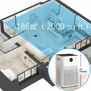 Air Purifiers For Home Large Room, 2000 ft², 3-Stage Filtration System, H13 True HEPA Filter Air Cleaner Remove 99.97% Dust Pollen Smoke Odors with Auto Mode, Sleep Mode, 12h Timer & Child Lock