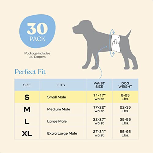 Comfortable Male Dog Diapers - 30-Pack Super Absorbent Disposable Male Dog Wraps- FlashDry Gel Technology, Wetness Indicator Doggie Diapers- Leakproof Belly Wraps for Incontinence, Excitable Urination