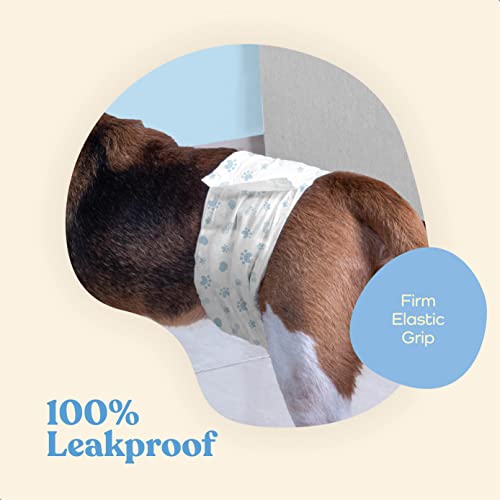 Comfortable Male Dog Diapers - 30-Pack Super Absorbent Disposable Male Dog Wraps- FlashDry Gel Technology, Wetness Indicator Doggie Diapers- Leakproof Belly Wraps for Incontinence, Excitable Urination