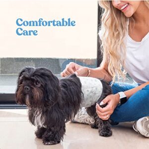 Comfortable Male Dog Diapers - 30-Pack Super Absorbent Disposable Male Dog Wraps- FlashDry Gel Technology, Wetness Indicator Doggie Diapers- Leakproof Belly Wraps for Incontinence, Excitable Urination