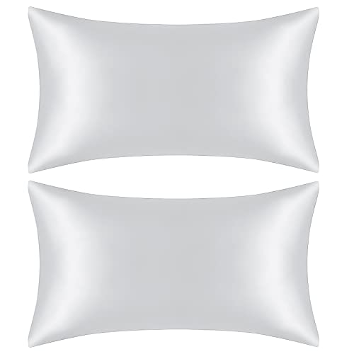 Satin Pillowcase, DIGHEIGG Silk Pillowcase for Hair and Skin, Pillow Cases for Sleeping Set of 2 with Envelope Closure (Silver Grey, 20 ×30 inches)
