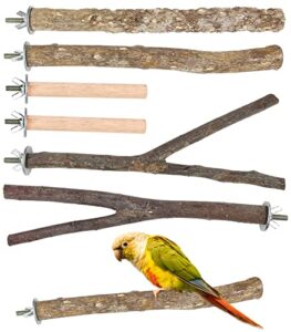 6 pack bird perch, 3 types bird stand set bird cage accessories natural wood toy perch parrot toys natural branch standing stick for budgies love birds finches small and medium-sized bird toys