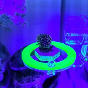 Coral Frag Holder Acrylic Coral Rack with Powerful Suction Cup Suitable for Household Fish Tanks (4pcs Fluorescent Four-Color Single-Hole Acrylic Stand)