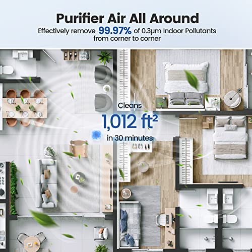 Air Purifier for Large Room Home True HEPA up to 2024sq.ft Ultra-Quiet 37dB 3-Stage Filtration System Bedroom Air Cleaner for Pets, Dander and Smoke