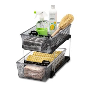 madesmart 2-Tier Plastic Multipurpose Organizer with Divided Slide-Out Storage Bins, Compact Under Sink and Cabinet Organizer Rack, Smoke