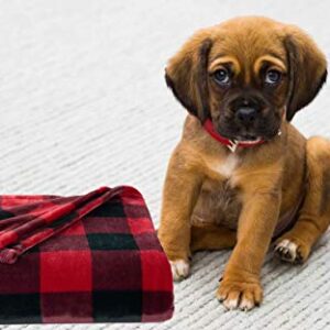 The Big One Throw Blanket, Super Soft Plush Red and Black Buffalo Plaid Pattern Checked Throw for Couch, or Bed Cozy Lightweight Fluffy Oversized 5 x 6 ft, Living Room and Bedroom