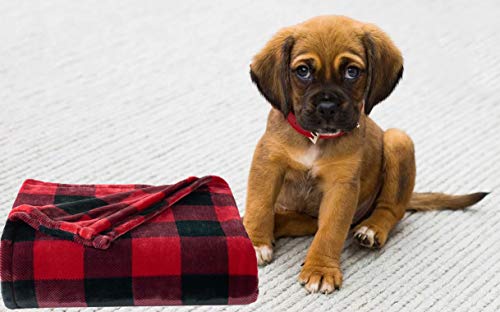 The Big One Throw Blanket, Super Soft Plush Red and Black Buffalo Plaid Pattern Checked Throw for Couch, or Bed Cozy Lightweight Fluffy Oversized 5 x 6 ft, Living Room and Bedroom