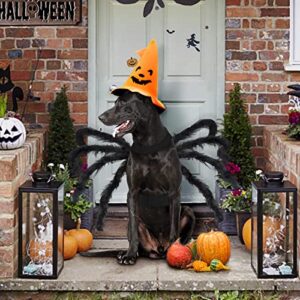 Malier Halloween Dogs Cats Costume Furry Giant Simulation Spider Pets Outfits Cosplay Dress up Costume Halloween Pets Accessories Decoration for Dogs Puppy Cats (X-Large)