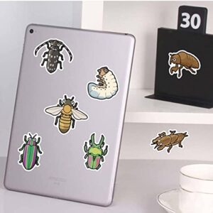 Realistic Bug Stickers for Kids, 40PCS/Pack Aesthetic Ladybug Stickers Vinyl Waterproof Insect Stickers for Water Bottles Laptop Skateboard Scrapbooking Computer Phone