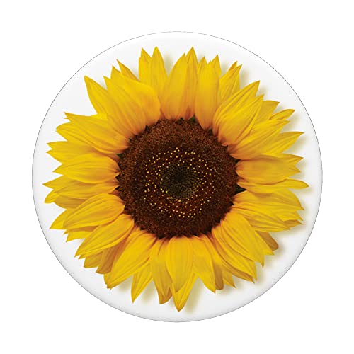 sunflower blossom yellow floral flower PopSockets Swappable PopGrip