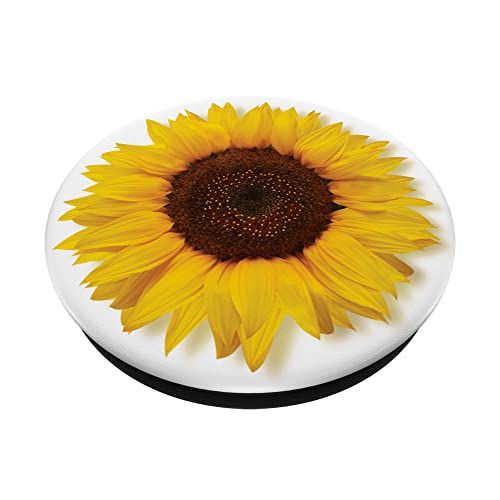 sunflower blossom yellow floral flower PopSockets Swappable PopGrip