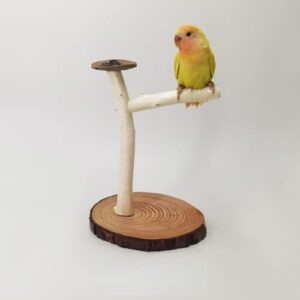 Barn Eleven Bird Training Stand, Portable Tabletop Bird Perch Spin Training Perch for Parakeets Conures Lovebirds Cockatiels (White)