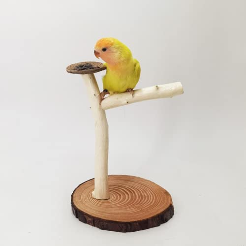 Barn Eleven Bird Training Stand, Portable Tabletop Bird Perch Spin Training Perch for Parakeets Conures Lovebirds Cockatiels (White)