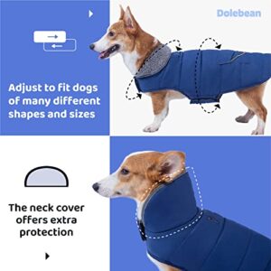 Dog Coat Winter Snow Jacket Cold Weather Warm Clothes Waterproof Windproof Vest for Medium Large Small Dogs Adjustable Blue S