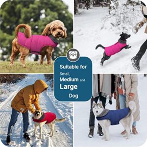 TEOZZO Dog Winter Coats - Waterproof Dog Snow Jackets Windproof Fleece Lined Dog Apparel Vest with Leash Hole Dog Cold Weather Coats for Large Dogs Navy X-Large