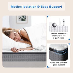 MICOOLS Full Mattress,12 inch Hybrid Mattress in a Box Memory Foam Breathable Comfortable,Motion Isolation Individually Wrapped Coils,Euro Top Medium Firm Full Size Mattress