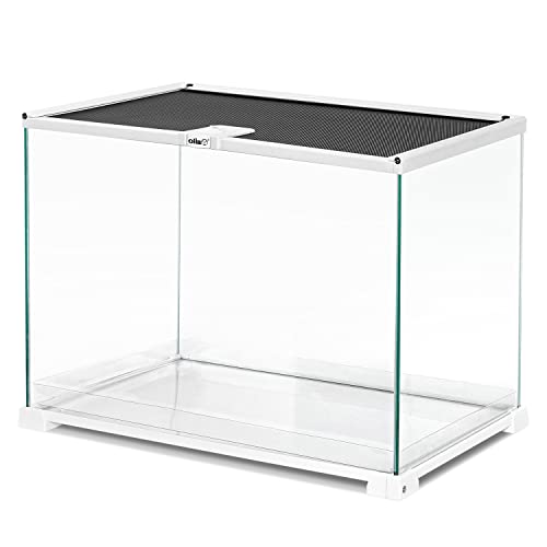 OIIBO 15 Gallon Glass Reptile Terrarium Tank, 20" X 12" X 14" Medium Reptile Terrarium with Sliding Screen Top for Gecko, Hermit Crab, Snake Reptiles and Small Animals