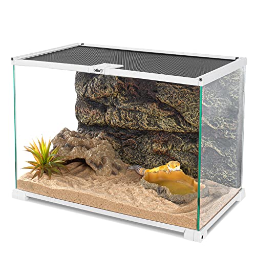 OIIBO 15 Gallon Glass Reptile Terrarium Tank, 20" X 12" X 14" Medium Reptile Terrarium with Sliding Screen Top for Gecko, Hermit Crab, Snake Reptiles and Small Animals