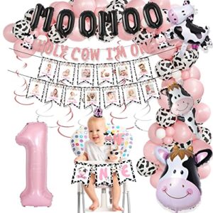 143 pcs holy cow i'm one birthday decorations for girl, fiesec cow first birthday party supplies cow print balloon garland monthly photo highchair glitter banner cake topper crown pink white black