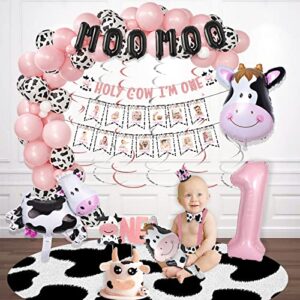 143 PCs Holy Cow I'M One Birthday Decorations for Girl, Fiesec Cow First Birthday Party Supplies Cow Print Balloon Garland Monthly Photo Highchair Glitter Banner Cake Topper Crown Pink White Black