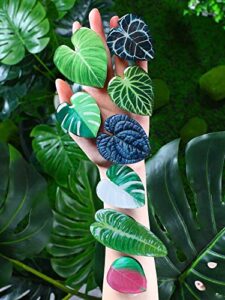 8 pcs leaves phone holder green plant cell phone grip holder monstera philodendron anthurium phone sockets cute phone finger collapsible expanding kickstand holder for smartphone and tablets