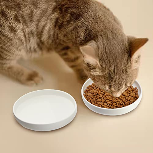 Ceramic Cat Bowls,Shallow Cat Dishes for Food and Water, 6 inch Matte Finish Wide Cat Food Bowl,Whisker Fatigue Free Pet Puppy Kitten Bowl Set of 3,Dishwasher Safe