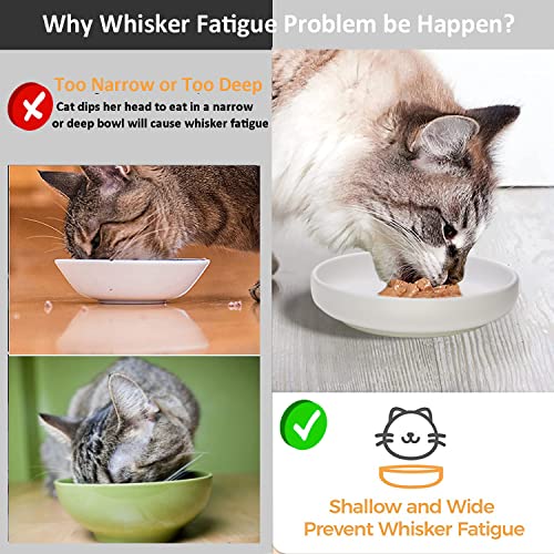 Ceramic Cat Bowls,Shallow Cat Dishes for Food and Water, 6 inch Matte Finish Wide Cat Food Bowl,Whisker Fatigue Free Pet Puppy Kitten Bowl Set of 3,Dishwasher Safe