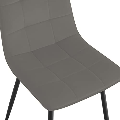 ROVOZAR Dining Chair, Gray Velvet,Simple and Modern Design for Dinner and Home,Without Armrest (Set of 2 Chairs)