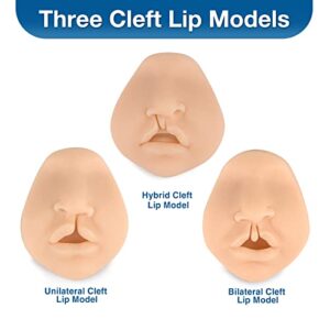 Ultrassist Unilateral Cleft Lip Model, Cleft Lip Suture Training Simulator for Medical Students, Education, Display