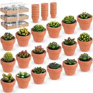 18 pcs succulent cactus tealight candles handmade tea lights baby shower plant candle gift with mini terracotta clay candle holders for birthday christmas wedding party home decoration (cute)