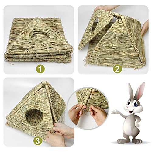 Chngeary Guinea Pig House, Natural Grass Hand Woven Guinea Pig Hideout, Pyramid Style Small Animal Hut, Top and Bottom Part Free Design for Easy Cleaning, Toys for Hamsters, Bunny, Gerbils