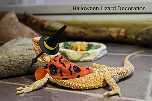 Vehomy 4Pcs Halloween Bearded Dragon Witch Costume Bearded Dragon Witch Hats Lizard Bandanas with Pumpkin Candy Pattern Lizard Wizard Hat Lizard Pumpkin Scarf Outfit for Hamster Leopard Gecko