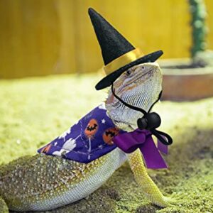 Vehomy 4Pcs Halloween Bearded Dragon Witch Costume Bearded Dragon Witch Hats Lizard Bandanas with Pumpkin Candy Pattern Lizard Wizard Hat Lizard Pumpkin Scarf Outfit for Hamster Leopard Gecko