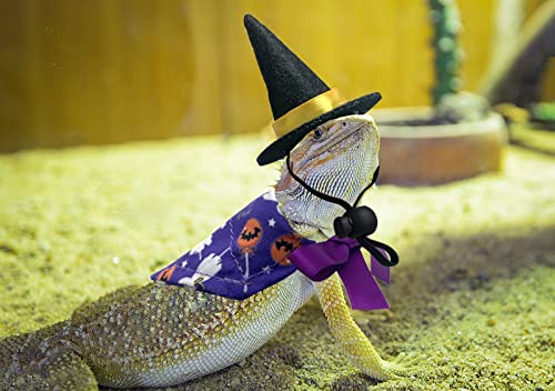 Vehomy 4Pcs Halloween Bearded Dragon Witch Costume Bearded Dragon Witch Hats Lizard Bandanas with Pumpkin Candy Pattern Lizard Wizard Hat Lizard Pumpkin Scarf Outfit for Hamster Leopard Gecko