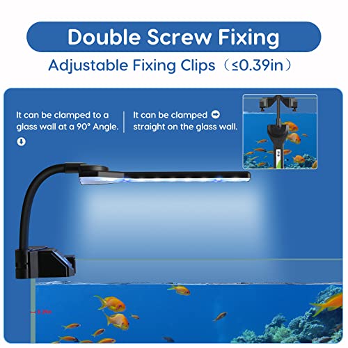 FYD LED Aquarium Light, 2.9W Clip on Aquarium Light Suitable for Uncovered Aquariums Under 15 Inches, Fish Tank Light with White & Blue Lights, Aquarium Plant Light for Reef Coral Aquatic Plants