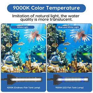 FYD LED Aquarium Light, 2.9W Clip on Aquarium Light Suitable for Uncovered Aquariums Under 15 Inches, Fish Tank Light with White & Blue Lights, Aquarium Plant Light for Reef Coral Aquatic Plants